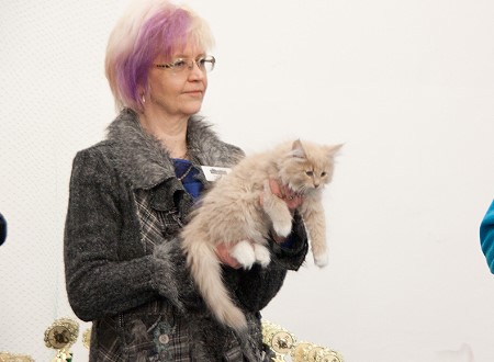 Ein Bild, das Person, Katze, Frau, drinnen enthlt.

Automatisch generierte Beschreibung