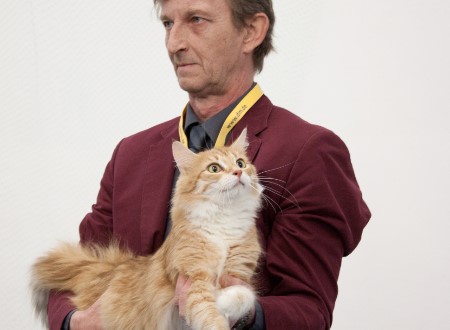 Ein Bild, das Person, Katze, Mann, sitzend enthlt.

Automatisch generierte Beschreibung