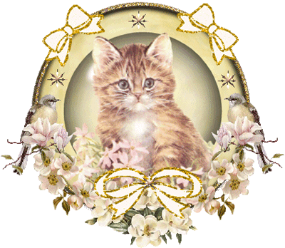 Ein Bild, das Katze, sitzend enth�lt.

Automatisch generierte Beschreibung